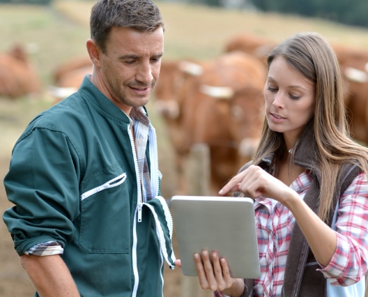 Agriculteurs avec tablette